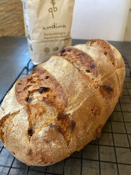 Pane Integrale con Farro Quinoa Uvetta noci e castagne